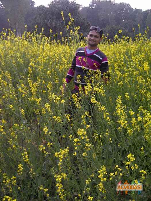 Kuldeep Kumar Joshi photo №44477. Uploaded 03 February 2016