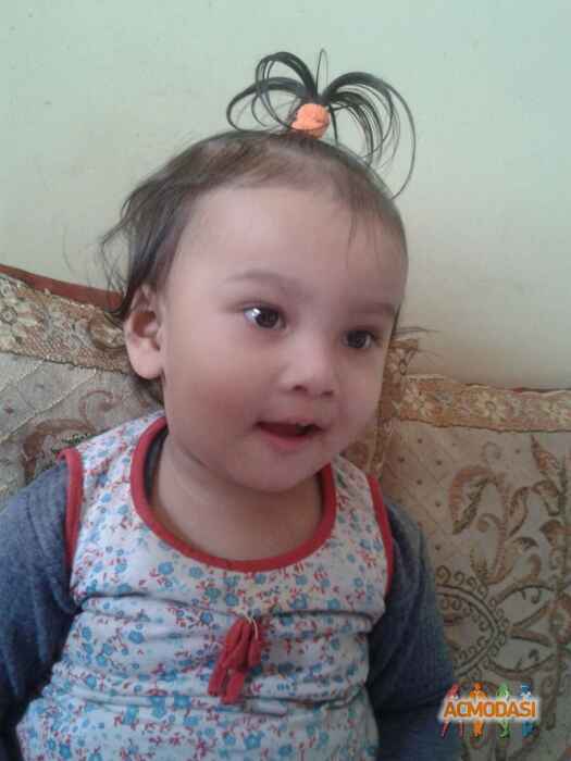 Kooshiki  Kalita photo №43803. Uploaded 30 January 2016