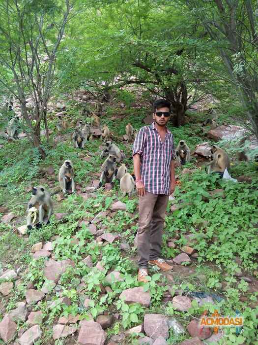 Surendra  Jangid photo №24076. Uploaded 10 October 2015