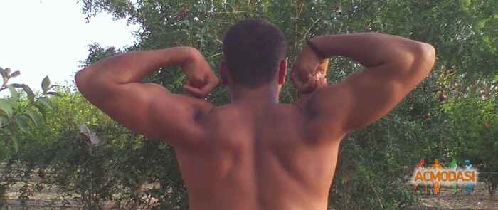 Mukesh Mukesh Patidar photo №55827. Uploaded 24 April 2016