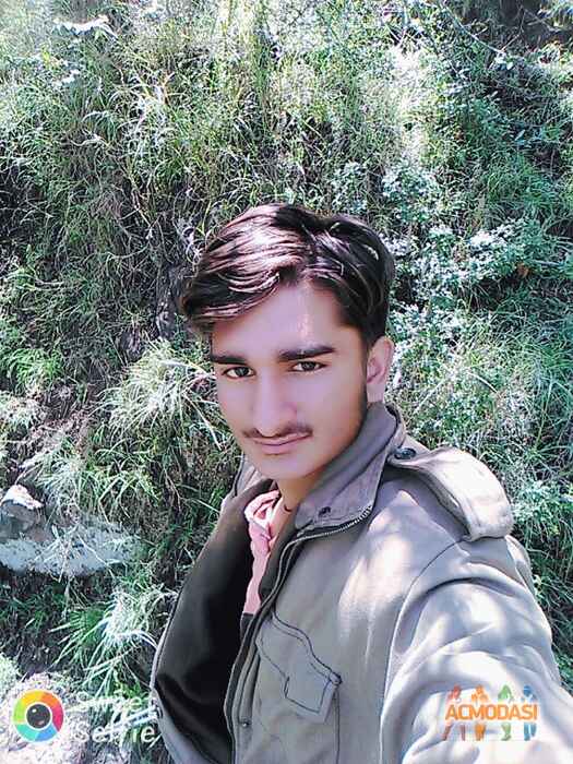 Dharvinder  singh photo №105002. Uploaded 25 May 2017