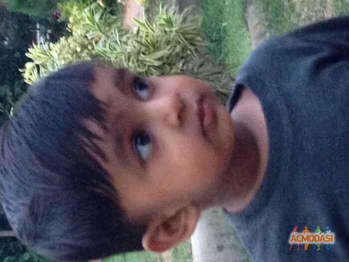 Vivaan   photo №11620. Uploaded 23 July 2015