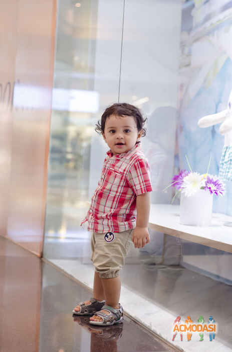 Vedant   photo №16799. Uploaded 23 August 2015