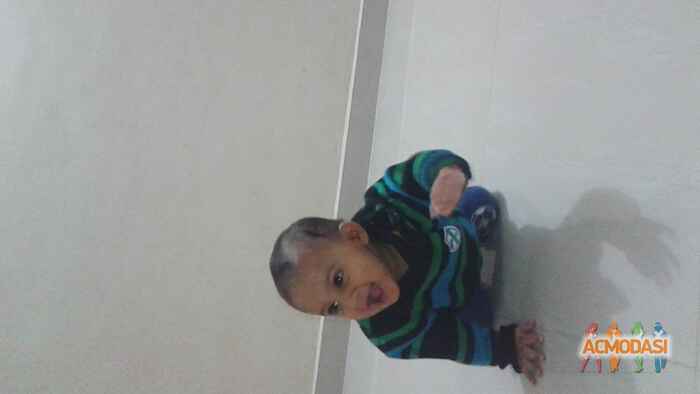 Vaasu   photo №31316. Uploaded 26 November 2015