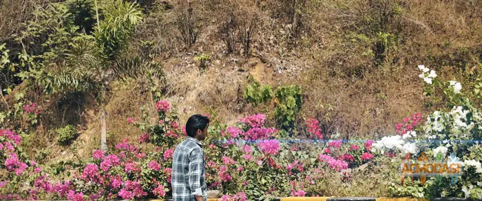Manish  Saroj photo №127625. Uploaded 21 May 2026