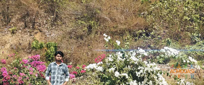 Manish  Saroj photo №127627. Uploaded 21 May 2026