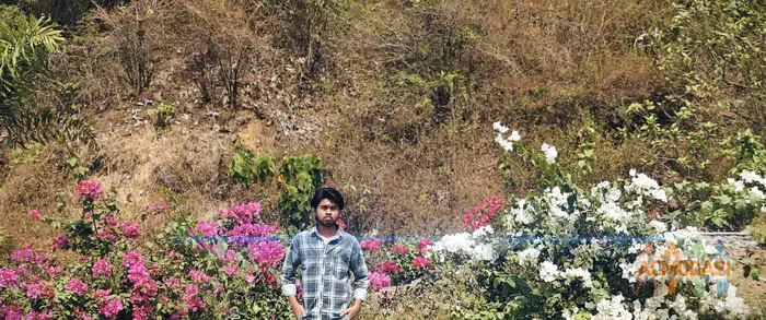 Manish  Saroj photo №127626. Uploaded 21 May 2026