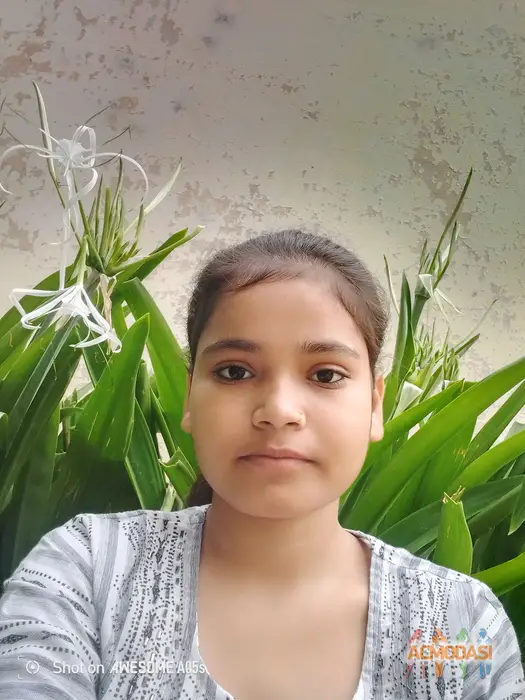 Shabnam  Mansuri photo №128431. Uploaded 14 August 2026