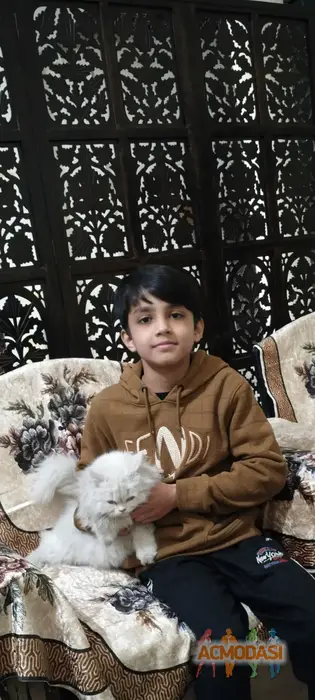 Ali Ahmad AHK photo №128674. Uploaded 27 September 2026