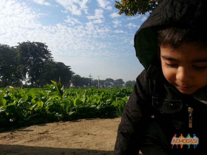 neelam  matharoo photo №53149. Uploaded 06 April 2016