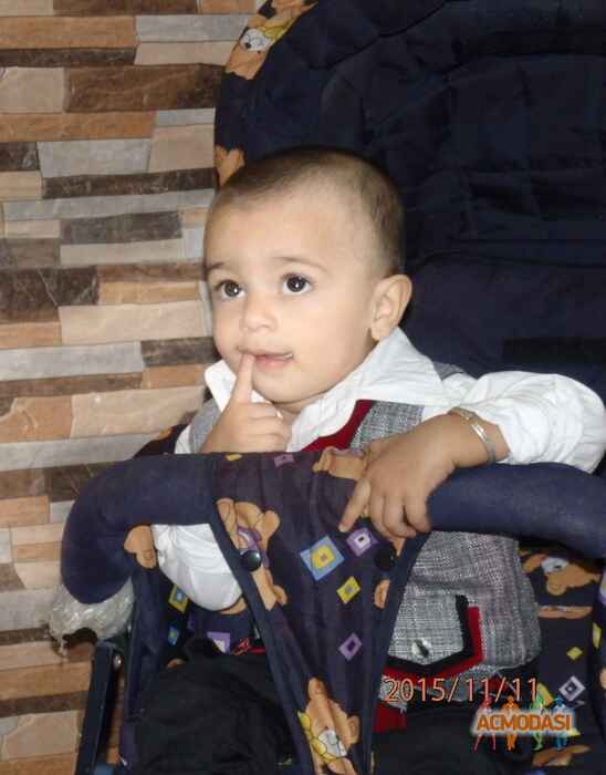 Namo   photo №29982. Uploaded 20 November 2015