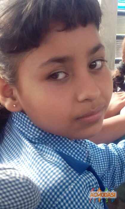 Chahat   photo №34479. Uploaded 15 December 2015