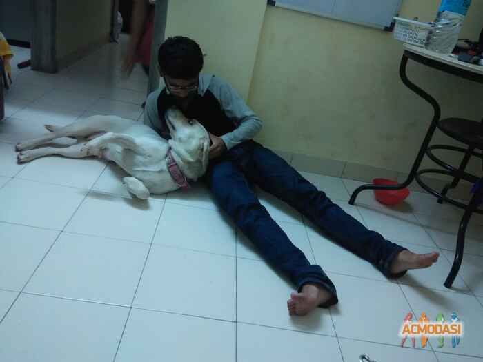 Oshan Arun Dhandar photo №99403. Uploaded 30 March 2017