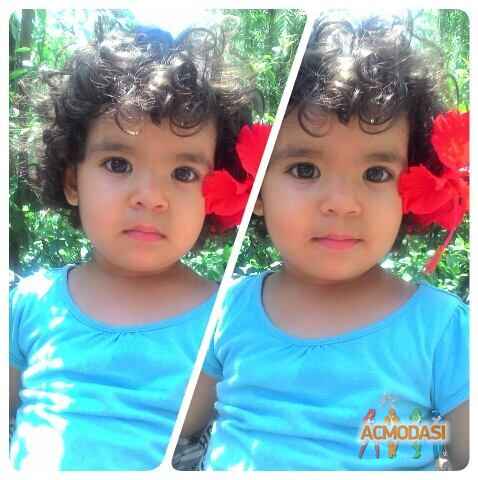 Mishti   photo №14468. Uploaded 10 August 2015