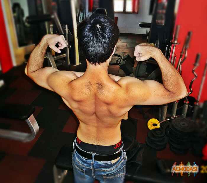 Sounava  Dey photo №33726. Uploaded 10 December 2015