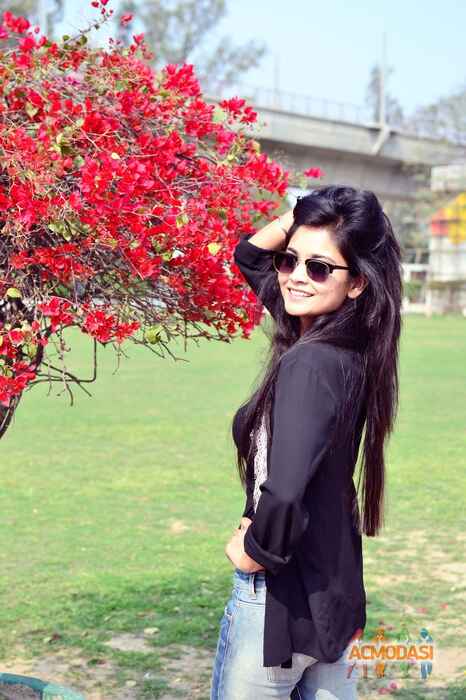 Sanauwer   photo №90947. Uploaded 08 January 2017