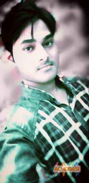 Sunny   photo №22376. Uploaded 27 September 2015