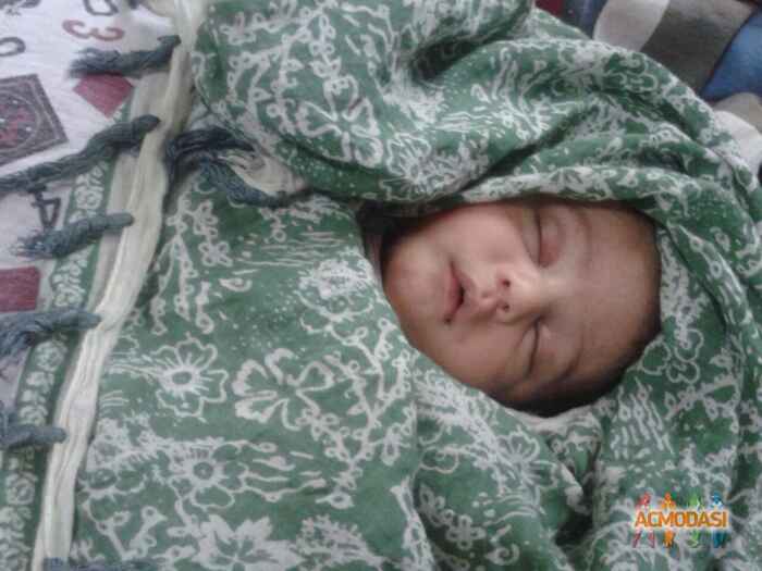 Pallavi   photo №9600. Uploaded 10 July 2015