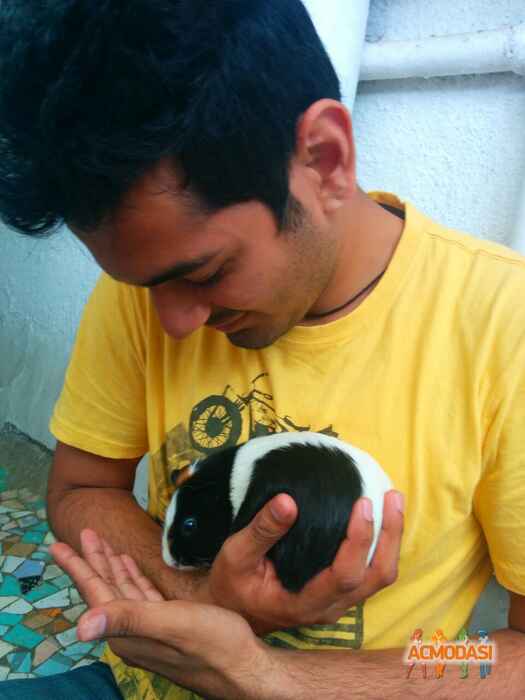 Ankit  Hurkat photo №79877. Uploaded 15 October 2016