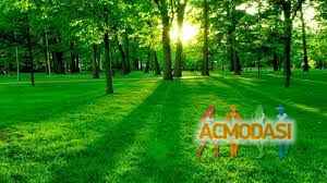 Ramhari Ambadas Yadav photo №71187. Uploaded 15 August 2016