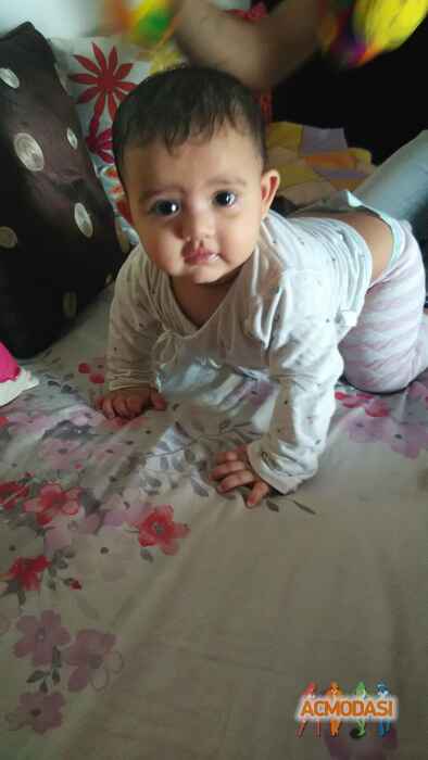 pari   photo №16336. Uploaded 21 August 2015