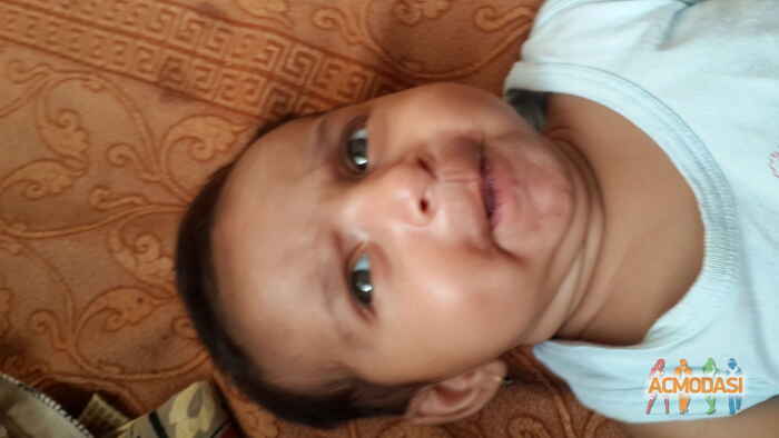 Aarya   photo №33736. Uploaded 10 December 2015