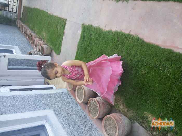 Zinia  Suri photo №43747. Uploaded 30 January 2016