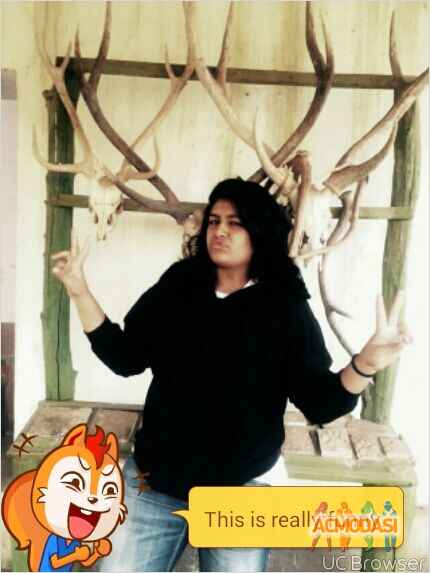 Himani  Yadav photo №41945. Uploaded 19 January 2016