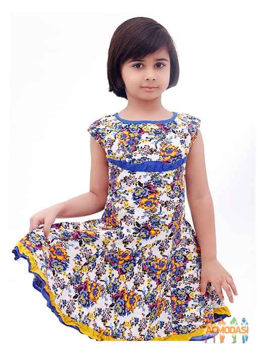 Swara   photo №17286. Uploaded 26 August 2015