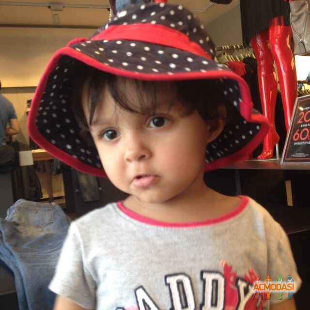 Gracie  Antaal photo №43877. Uploaded 31 January 2016