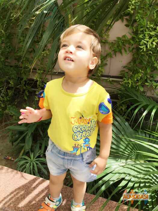 Lavin   photo №19261. Uploaded 07 September 2015