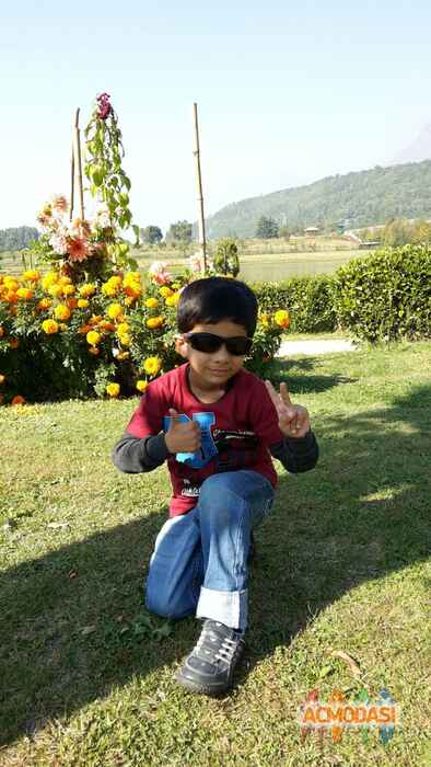 Koyal   photo №38843. Uploaded 08 January 2016