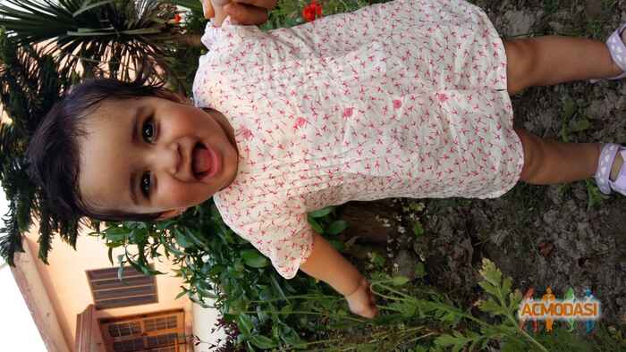 Navneet  Dhariwal photo №33284. Uploaded 07 December 2015