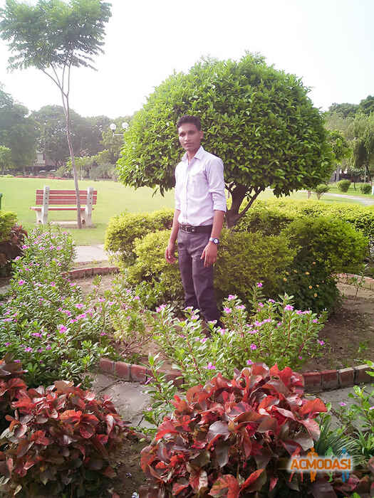 Krishna Nandan  Kumar Pandit photo №74558. Uploaded 07 September 2016