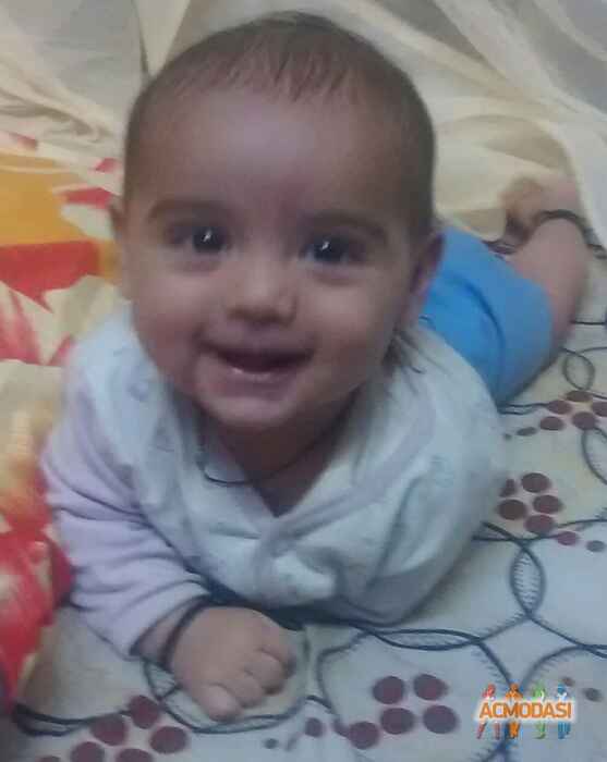 Mitansh  Tolani photo №55033. Uploaded 19 April 2016