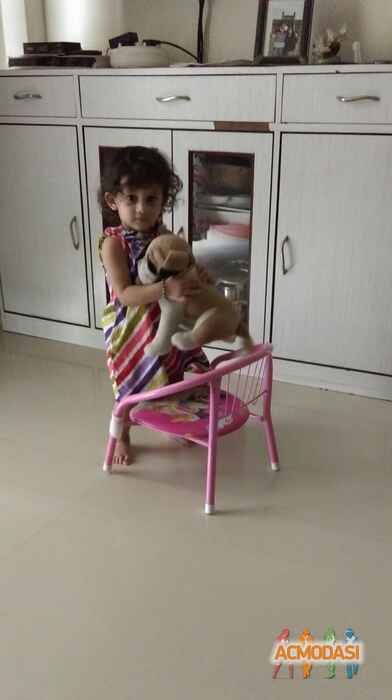 shayna   photo №2913. Uploaded 20 May 2015