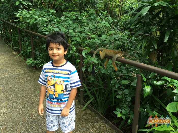 Aarav Amit Badade photo №69262. Uploaded 29 July 2016