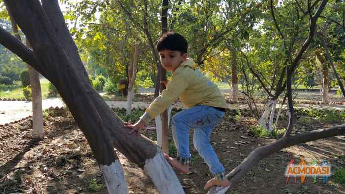 Aviaan   photo №1186. Uploaded 24 March 2015