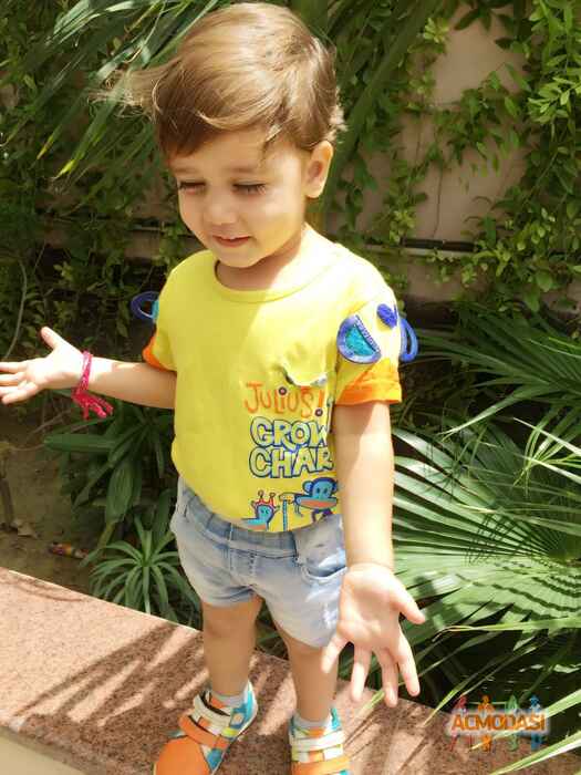 Lavin   photo №19259. Uploaded 07 September 2015