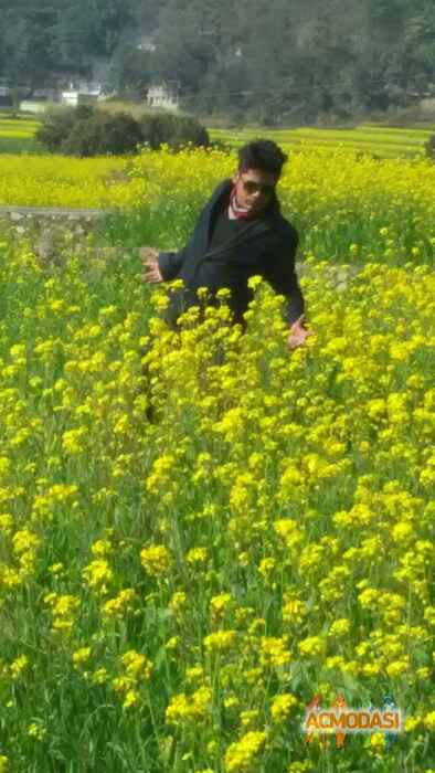 Mohit  Khandelwal photo №45831. Uploaded 12 February 2016