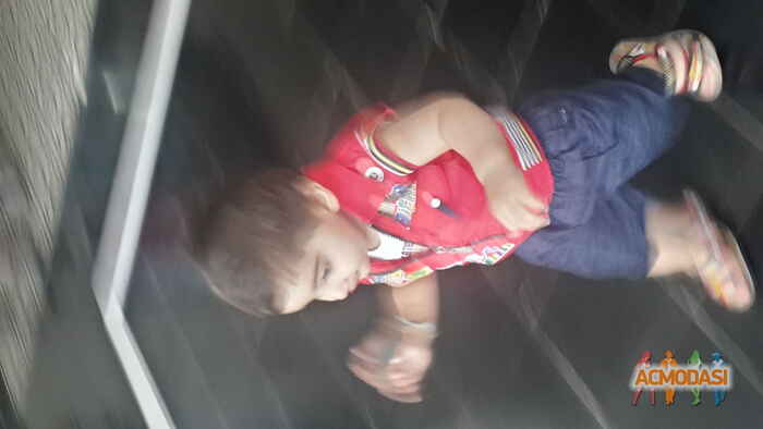 Pawan   photo №25765. Uploaded 24 October 2015