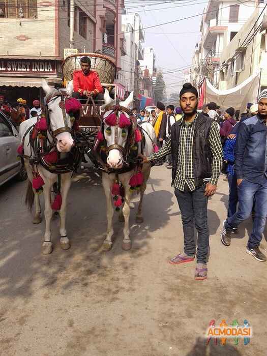 Suraj Singh  Suraj photo №80545. Uploaded 20 October 2016