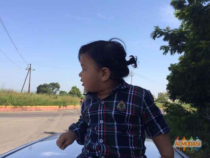    photo №26565. Uploaded 30 October 2015