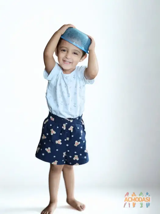 Alacritys   photo №125838. Uploaded 30 September 2025