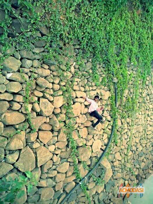 Pavan  Naidu photo №29881. Uploaded 19 November 2015