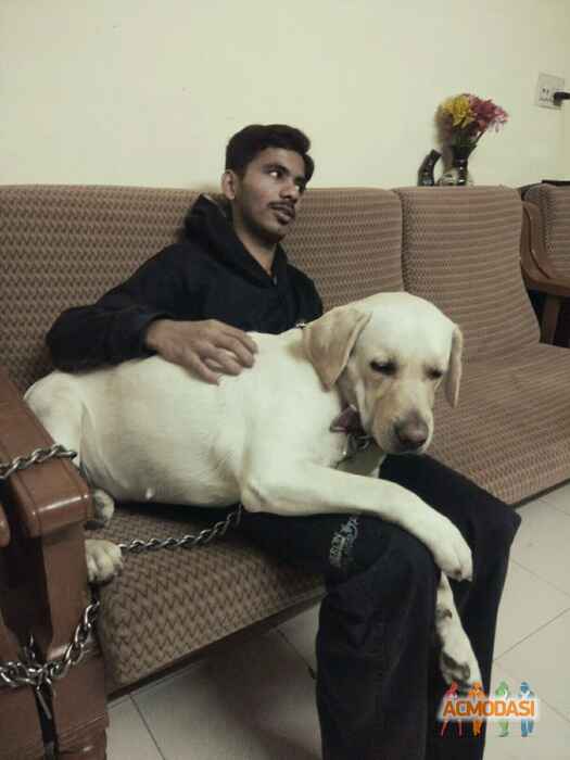 Oshan Arun Dhandar photo №99400. Uploaded 30 March 2017