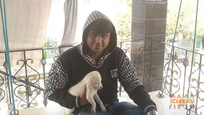 Aakash Pravinbhai Panchal photo №44015. Uploaded 01 February 2016