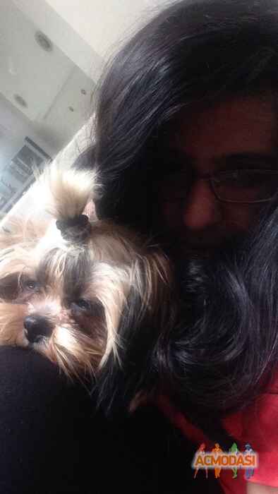 Anushka   photo №32907. Uploaded 06 December 2015