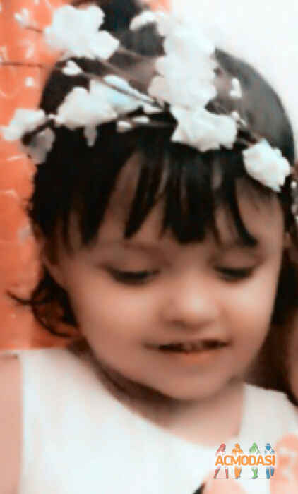 Gracie  Antaal photo №43879. Uploaded 31 January 2016