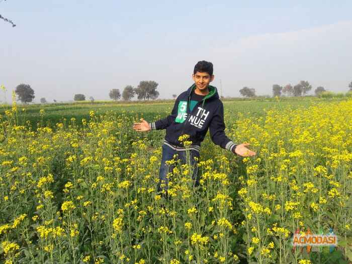 Shivam  Saxena photo №91777. Uploaded 15 January 2017